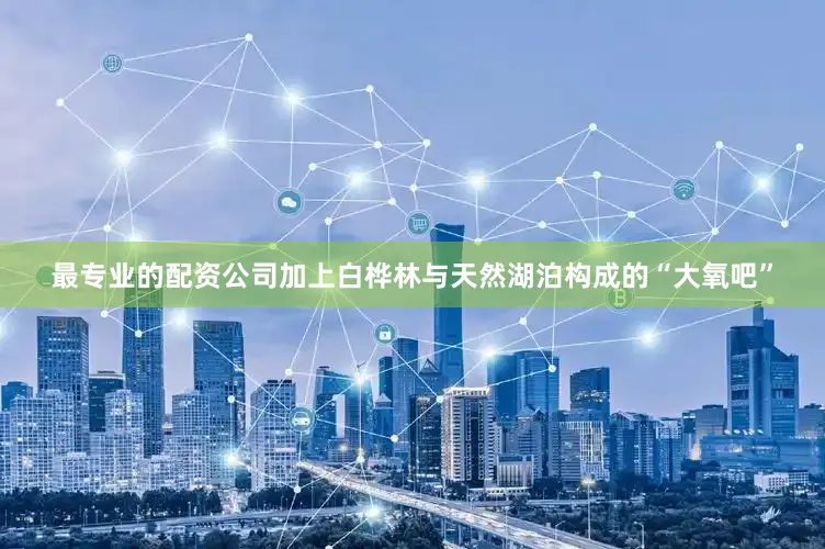 最专业的配资公司加上白桦林与天然湖泊构成的“大氧吧”