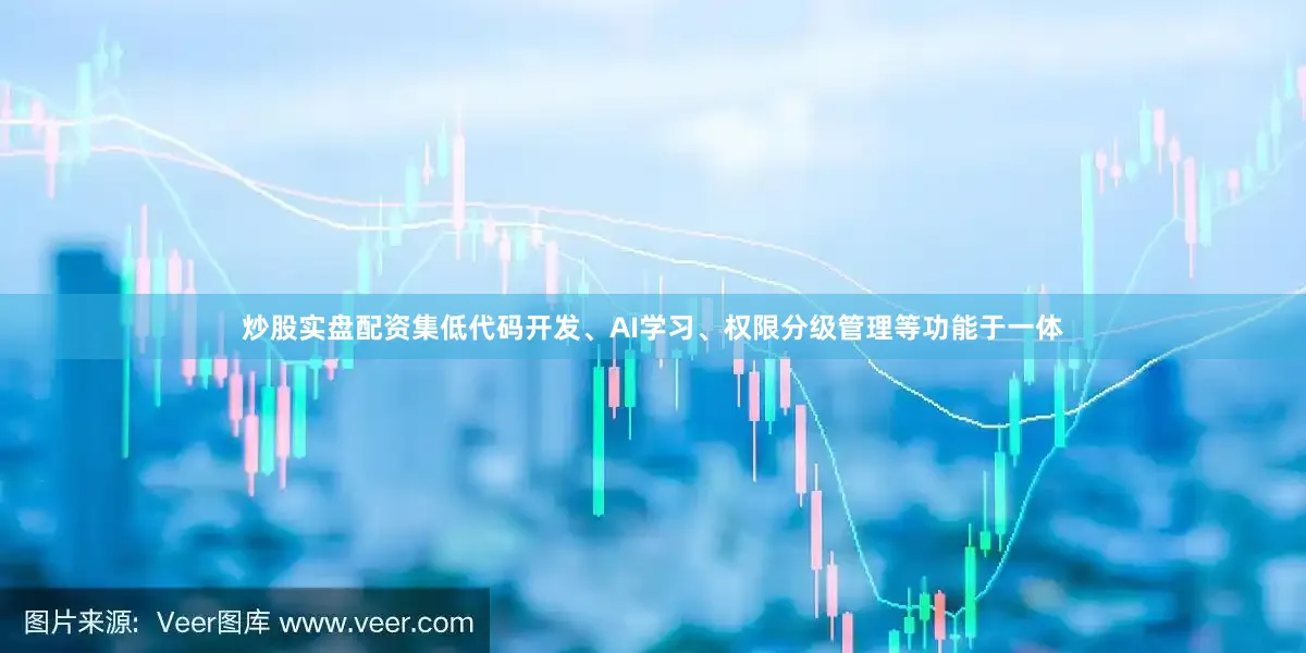 炒股实盘配资集低代码开发、AI学习、权限分级管理等功能于一体